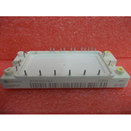 BSM15GP60