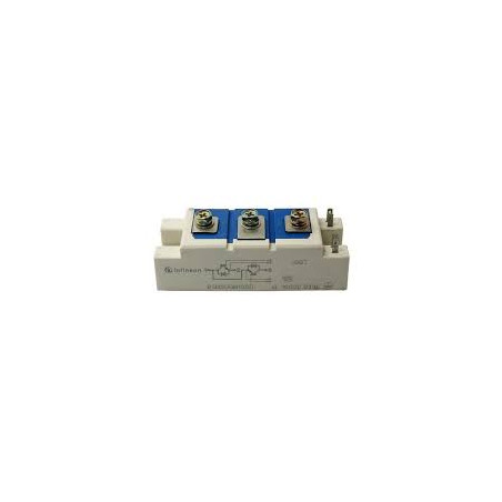 BSM50GB100D