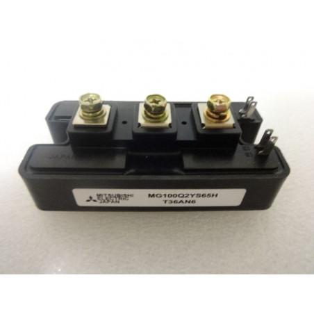 MG100Q2YS65H