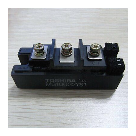 MG100G2YS1