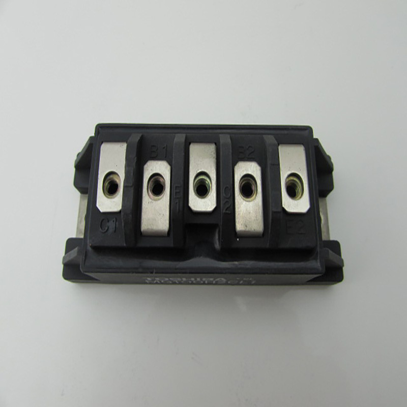 MG100G1FL1