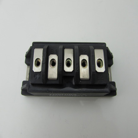 MG100G1FL1