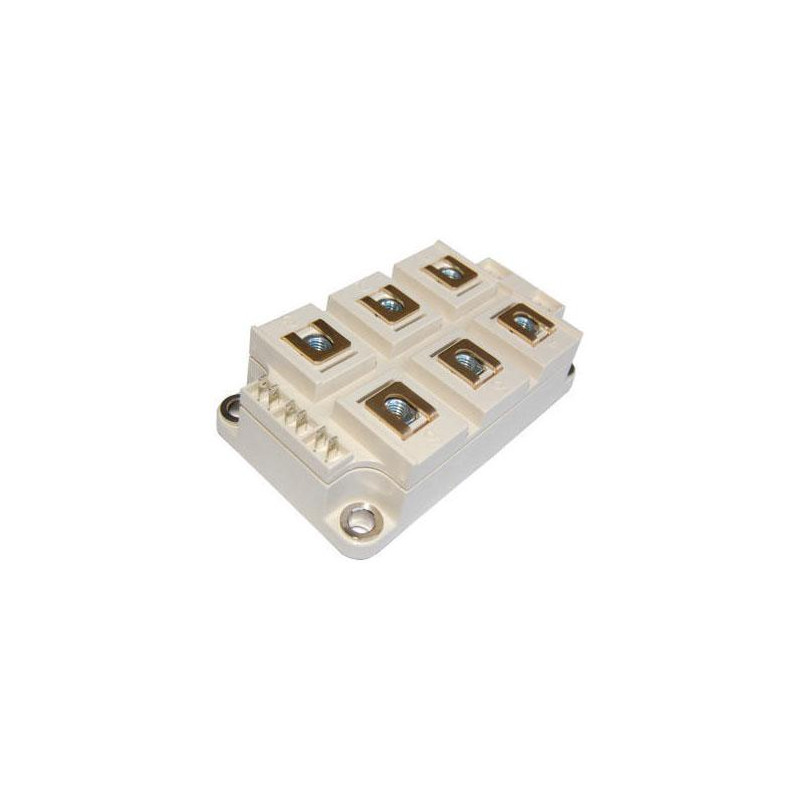 SKM300MLI066T