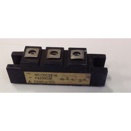 RM100C2Z-H