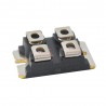 DSEI2X101-06A