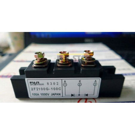 2FI100G-100C