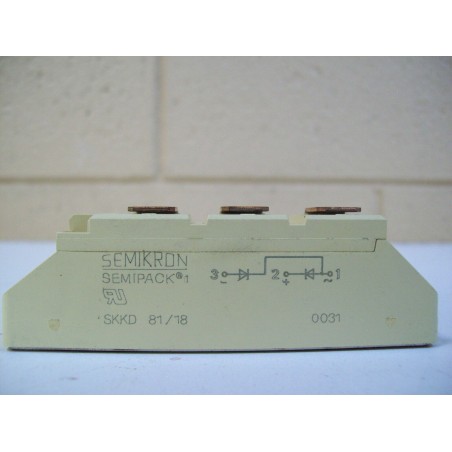 SKKD81/18