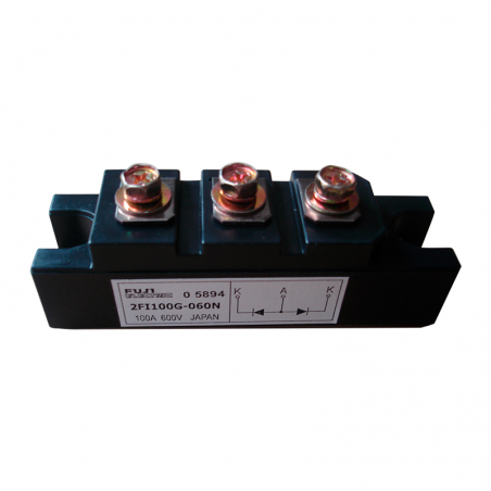 2FI100G-060N