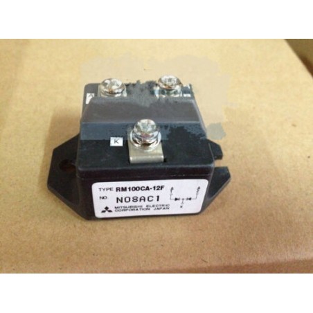RM100CA-12F