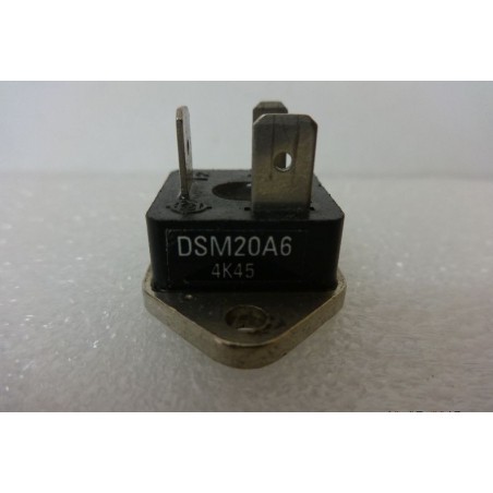 DSM20A6
