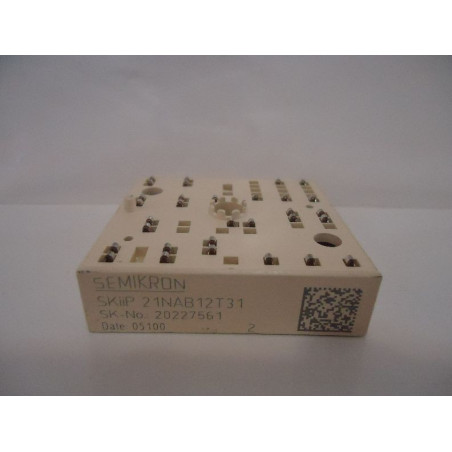SKIIP21NAB12T31