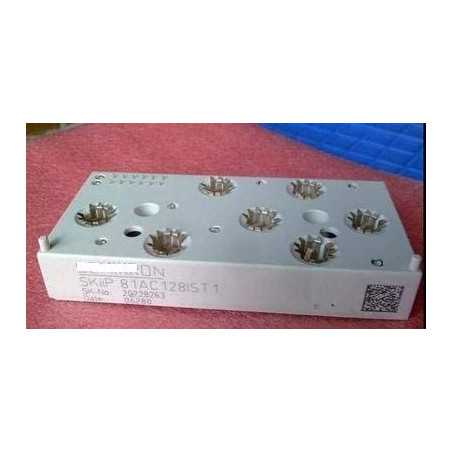 SKIIP81AN15T10