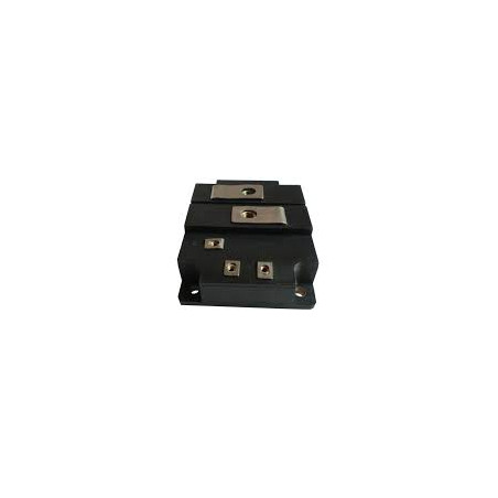BSM300GA170DL