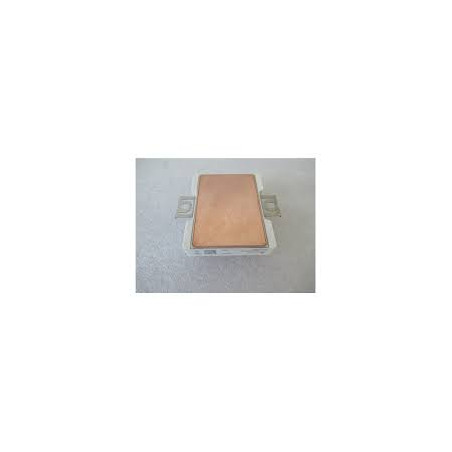 BSM100GB120DN2KG