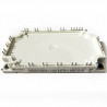 BSM50GP60G