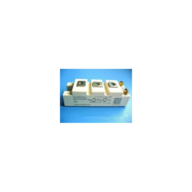 SKM100GB124DM