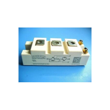 SKM100GB124DM