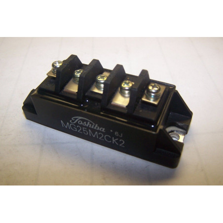MG25M2CK2